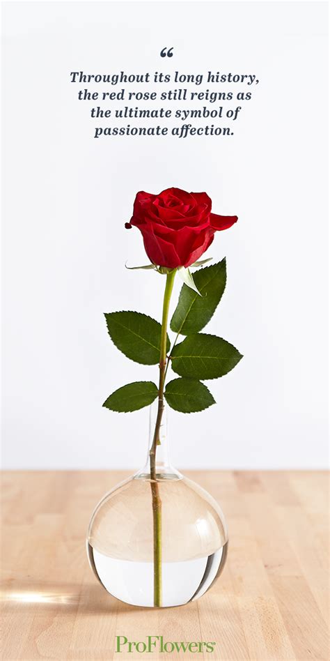 History and Meaning Behind Red Roses - ProFlowers Blog | Red roses ...