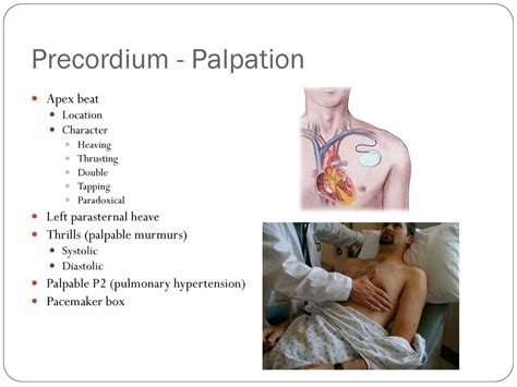 Cardiovascular examination introduction - ppt download