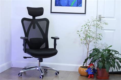 Sihoo Ergonomic Office Chair Review - Budget at What Price? - Ergonomic ...