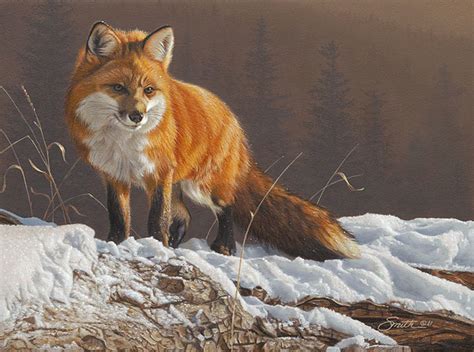 Art Country Canada - DANIEL SMITH Radian Red Fox Giclee Canvas