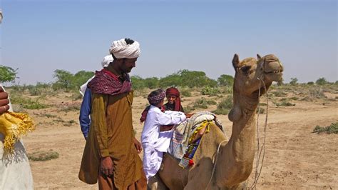 Cholistan populace moves away from scorched desert - Pakistan - DAWN.COM