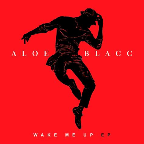 Aloe Blacc - Wake Me Up (Official Video)