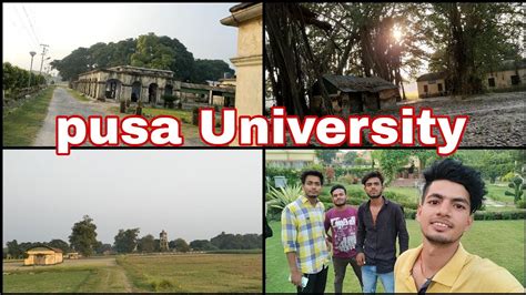 Dr rajendra prasad Agricultural University vlogs #Universtiyvlog # ...