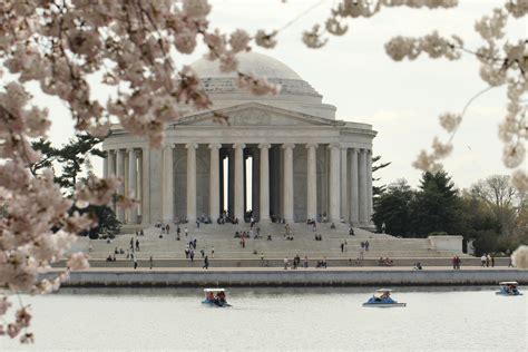 Free stock photo of cherry blossoms, jefferson memorial, monument ...