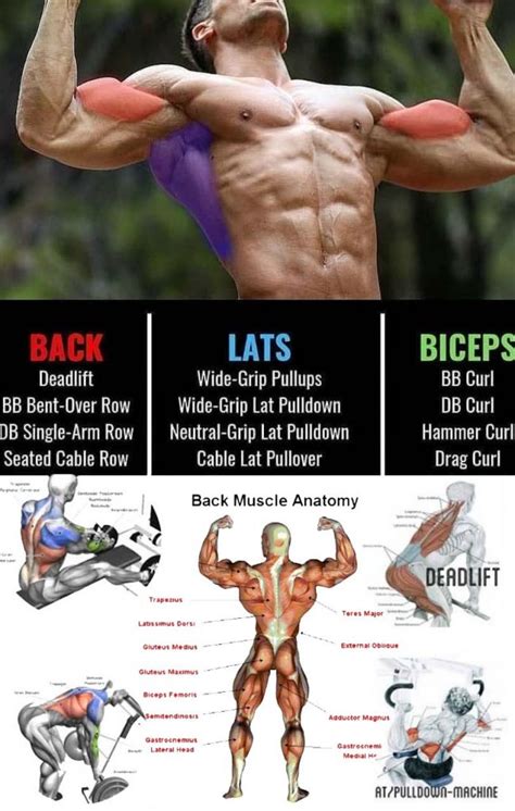 Best Lats Exercises to Build a Perfect Back