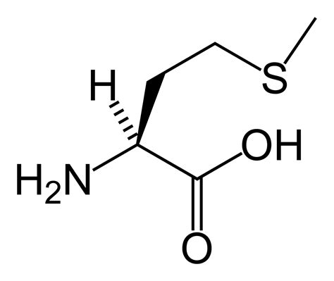 File:L-methionine-skeletal.png - Wikimedia Commons