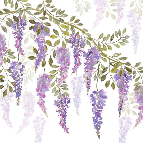 Wisteria Flower painting, Flower drawing, Vine drawing - EroFound