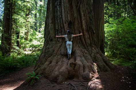 9 Best Hikes in Redwood National Park & State Parks - The National ...