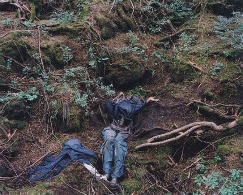 Aokigahara Forest, Japan - Infy world