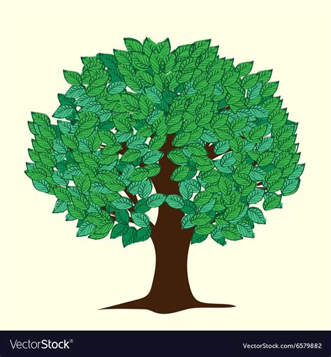 Big tree with green leaves Royalty Free Vector Image