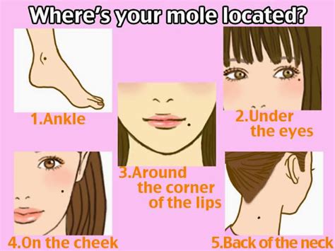 Moles and Meaning - About Ur Futurity