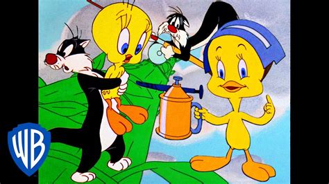 Top 100+ Best sylvester and tweety cartoons - Tariquerahman.net