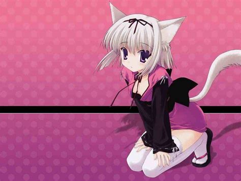 Anime Neko Girl Wallpapers - Top Free Anime Neko Girl Backgrounds ...