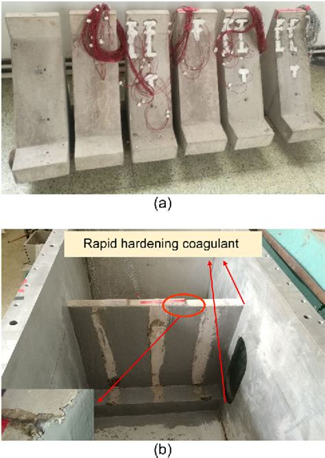 Figure 1 from Bending failure of a concrete gravity dam subjected to ...