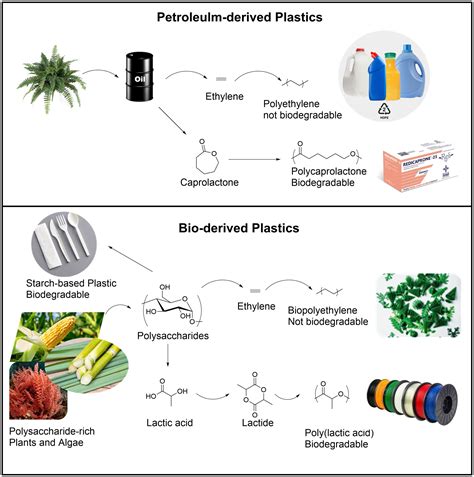 Biodegradable, Bioplastics and Green Plastics, What’s the Difference?