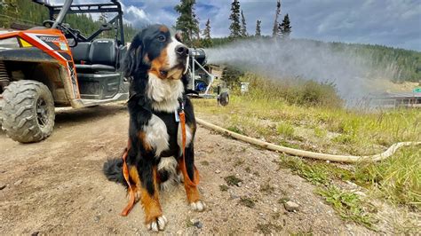 Loveland Ski Area begins testing its guns for snowmaking season | 9news.com