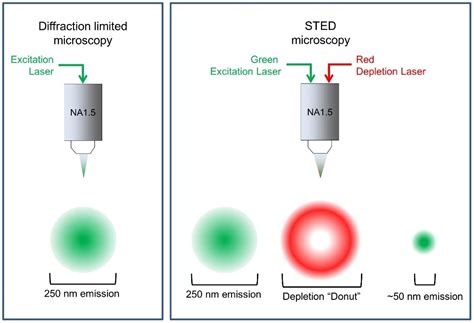 What is Super-Resolution Microscopy? STED, SIM and STORM Explained ...