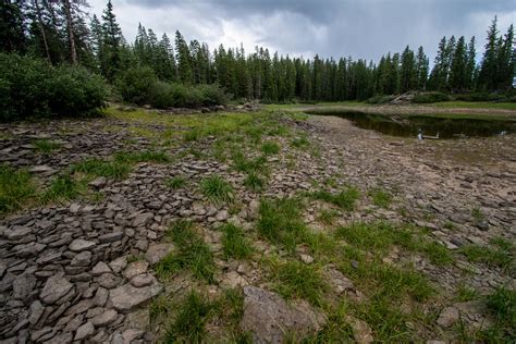 Habitat of the Arizona Tiger Salamander | Breeding habitat o… | Flickr