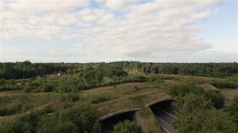 Aerial view of farm land with fields and trees 11868763 Stock Video at ...