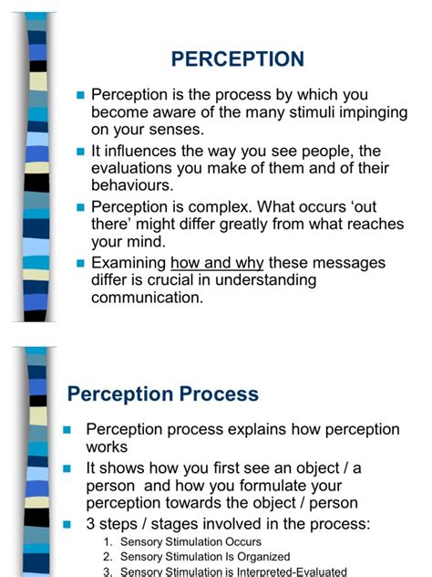 Lecture 13 Communication and Perception | PDF | Perception | Stereotypes