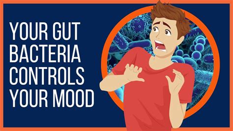 How Your Gut Bacteria Controls Your Mood - YouTube