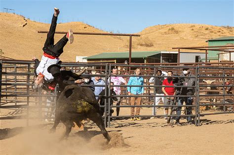 ‘Jackass Forever’ Trailer: New Decade, Same Jackasses