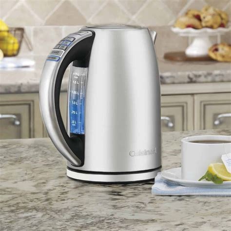 10 Highly Rated And Best Electric Tea Kettles