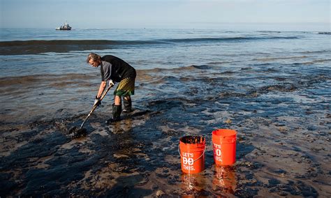 What the Oil Spill Off Santa Barbara Is Going to Kill | WIRED