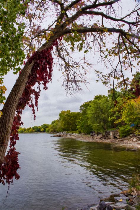 Autumn Lake Free Stock Photo - Public Domain Pictures