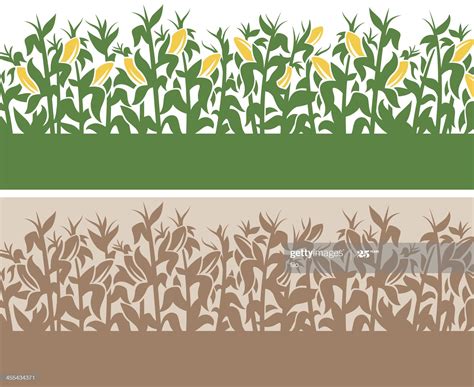 Detailed corn-themed field border with copy space. | Field wallpaper ...