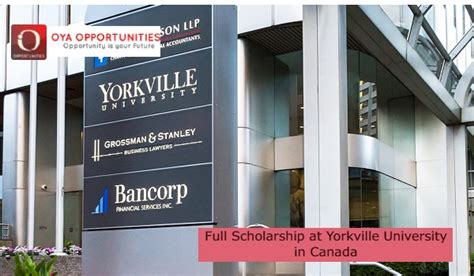 Full Scholarship at Yorkville University in Canada - OYA Opportunities ...