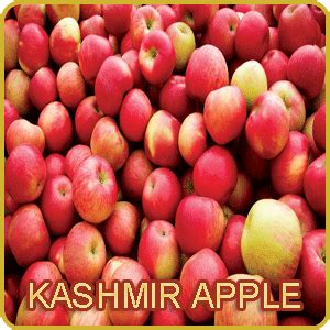 HISTORY OF KASHMIR APPLE-INDIANMIRROR