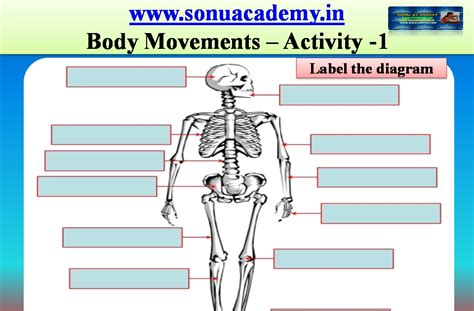 SONU ACADEMY: BODY MOVEMENTS- ACTIVITIES (CLASS-VI) CBSE