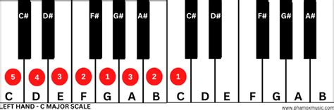 C Major Scale Piano Playing Guide for Beginners - Phamox Music