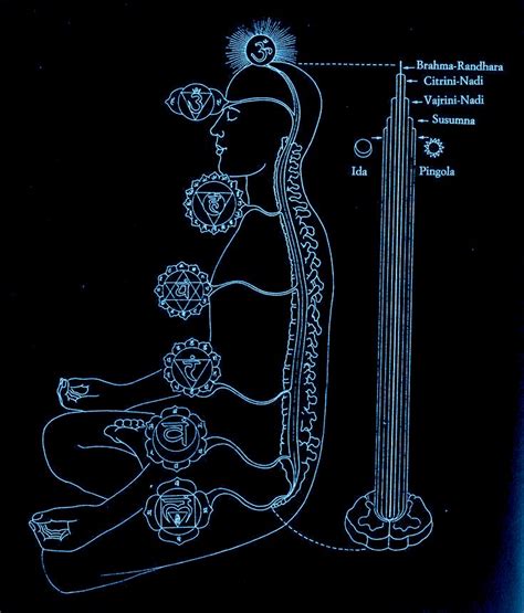 Trividha Nadi's - Ida, Pingala and Sushumna