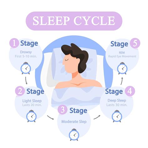 Everything You Need to Know About a Sleep Cycle Calculator - The Sleep ...