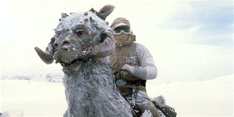 Tauntaun | StarWars.com