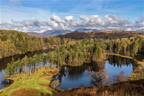 Tarn Hows walk - walks from Coniston - Lake District walks