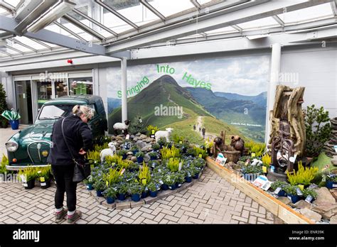 Ambleside garden centre hi-res stock photography and images - Alamy