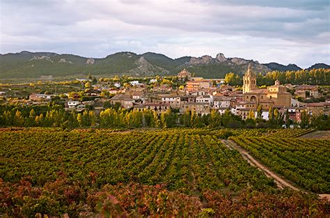 Wine Trails: Six Rioja wineries to visit - Decanter