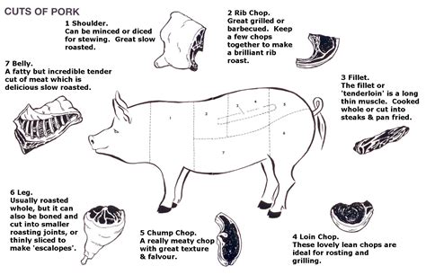 Pork Meat Diagram