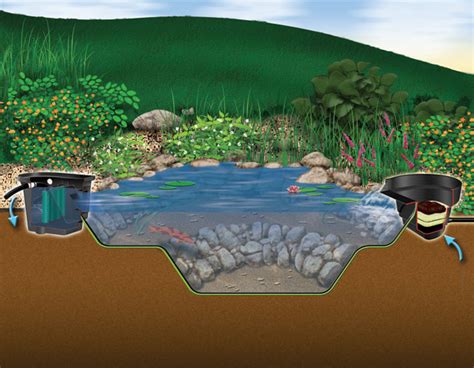 Aquascape DIY Backyard Pond Kits – Aquascapes