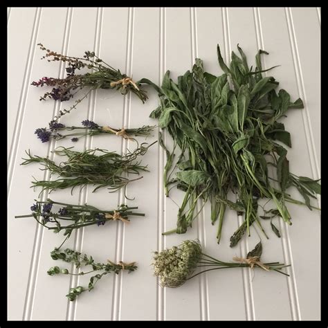 How to Make Sage Bundles for Smudging (With images) | Sage plant ...