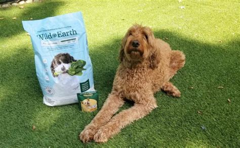 Wild Earth Dog Food Reviews: Is This Vegan Dog Food A Healthy Option?