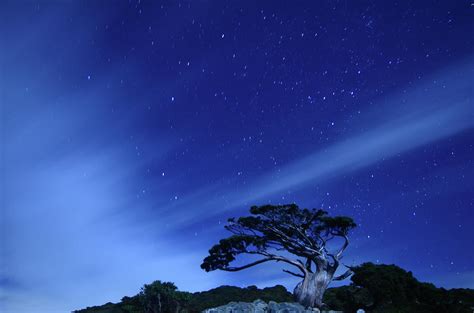 Clear Sky Night View by Maxchu