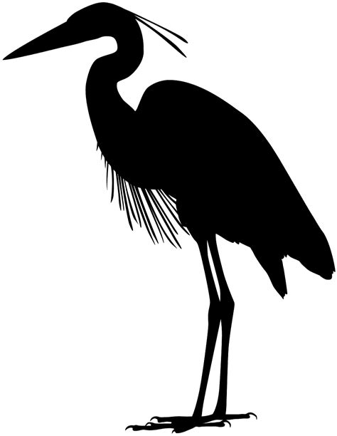 Great Blue Heron silhouette - Free Vector Silhouettes | Creazilla ...