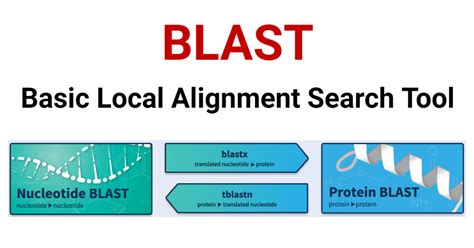 BLAST in Bioinformatics: Types, Steps & Applications