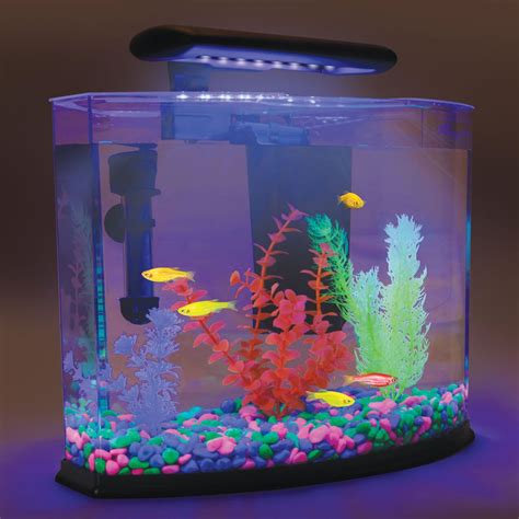 Fish Tank Gravel Colors - Rin Aquarium Fish