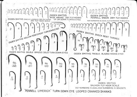 Fish Hook Sizes Chart