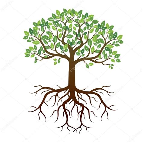 Color Tree and Roots. Vector Illustration. | Roots drawing, Tree with ...